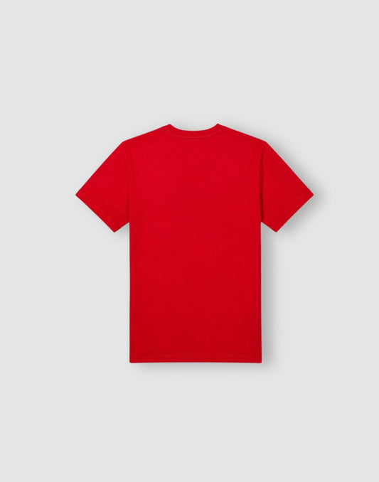Boys Red Graphic Print Cotton T?Shirt