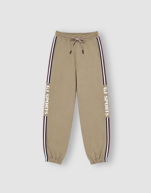 Boys Beige Stripes Track Pants