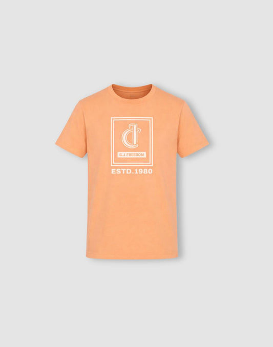 Gini and Jony Boys Peach Graphic Cotton T-Shirt
