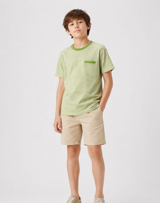 Striped Regular Cotton T-Shirt
