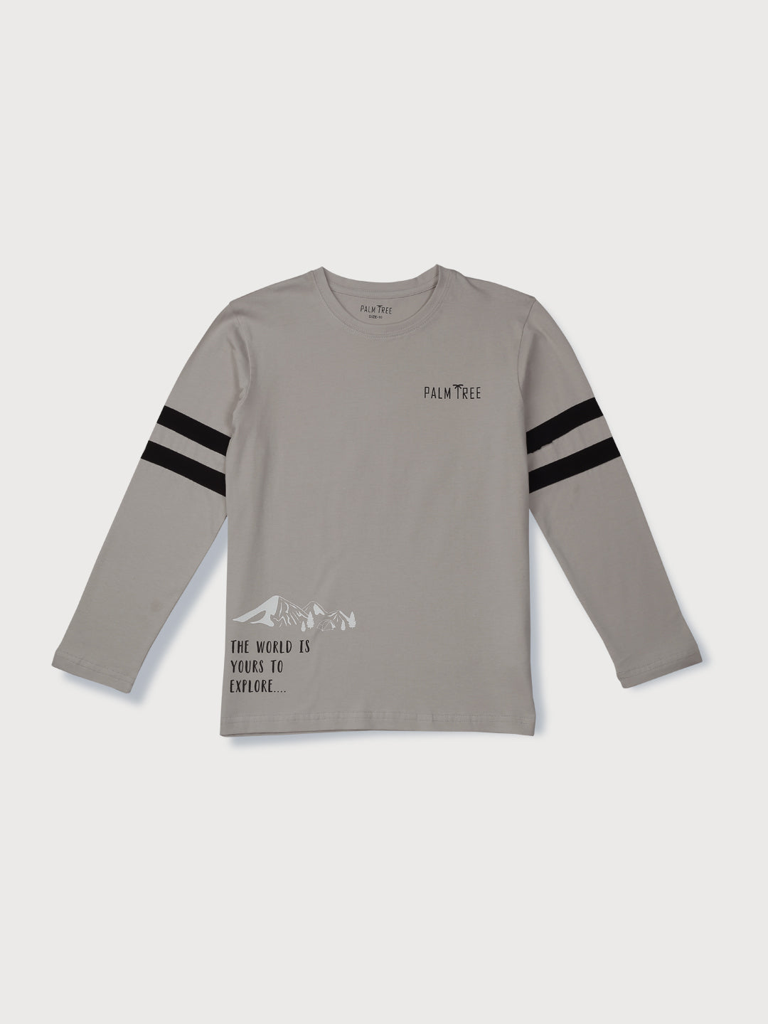 Boys Grey Printed Knits T-Shirt