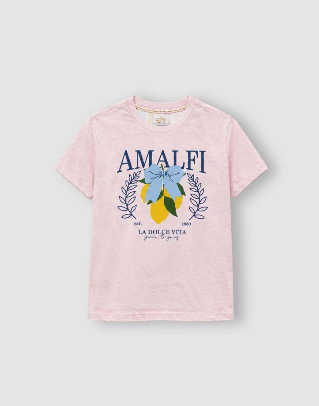 Girls Pink Cotton Knit Half Sleeve Knits Top