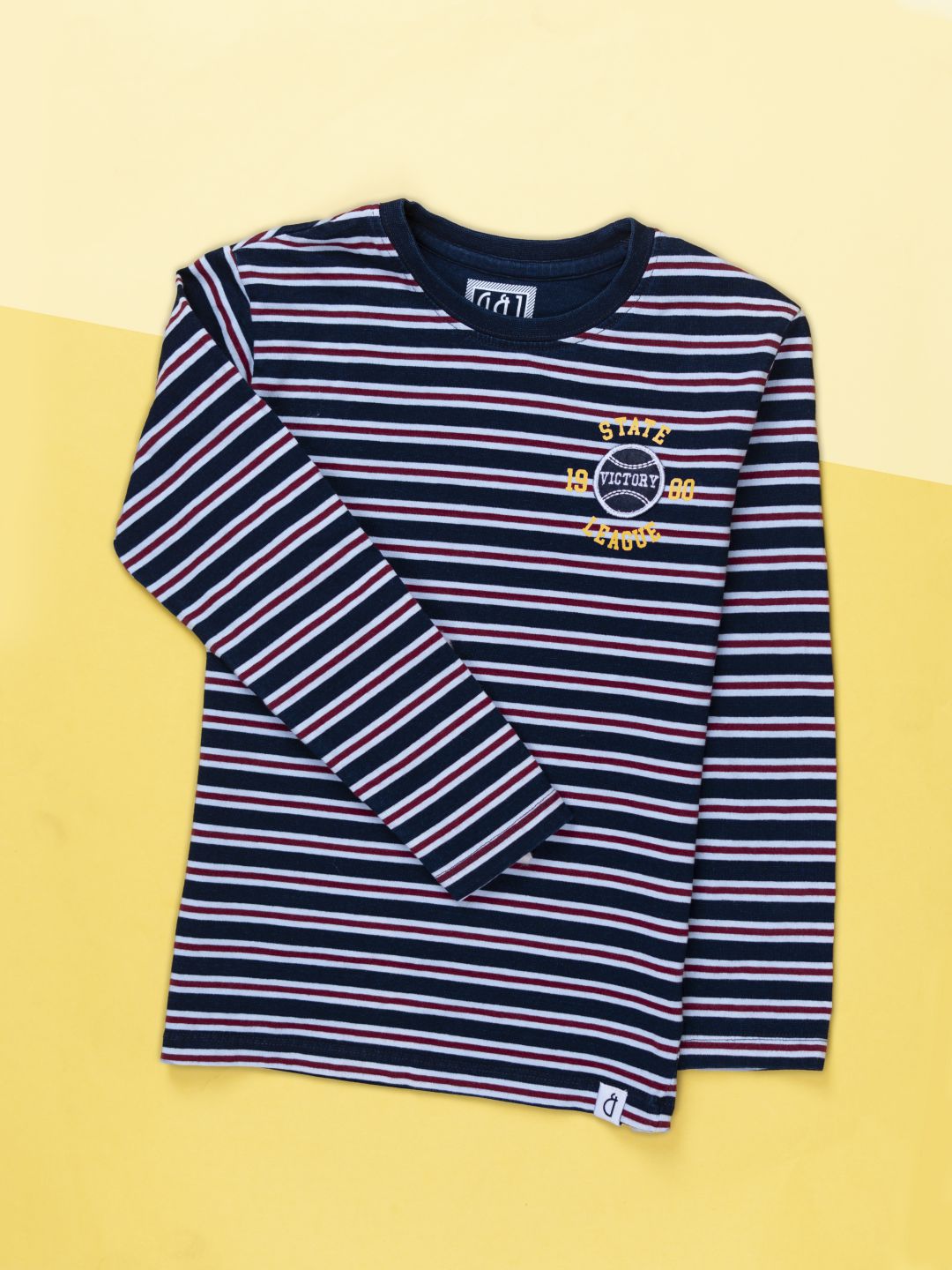 Boys Blue Striped Cotton Full Sleeves T-Shirt