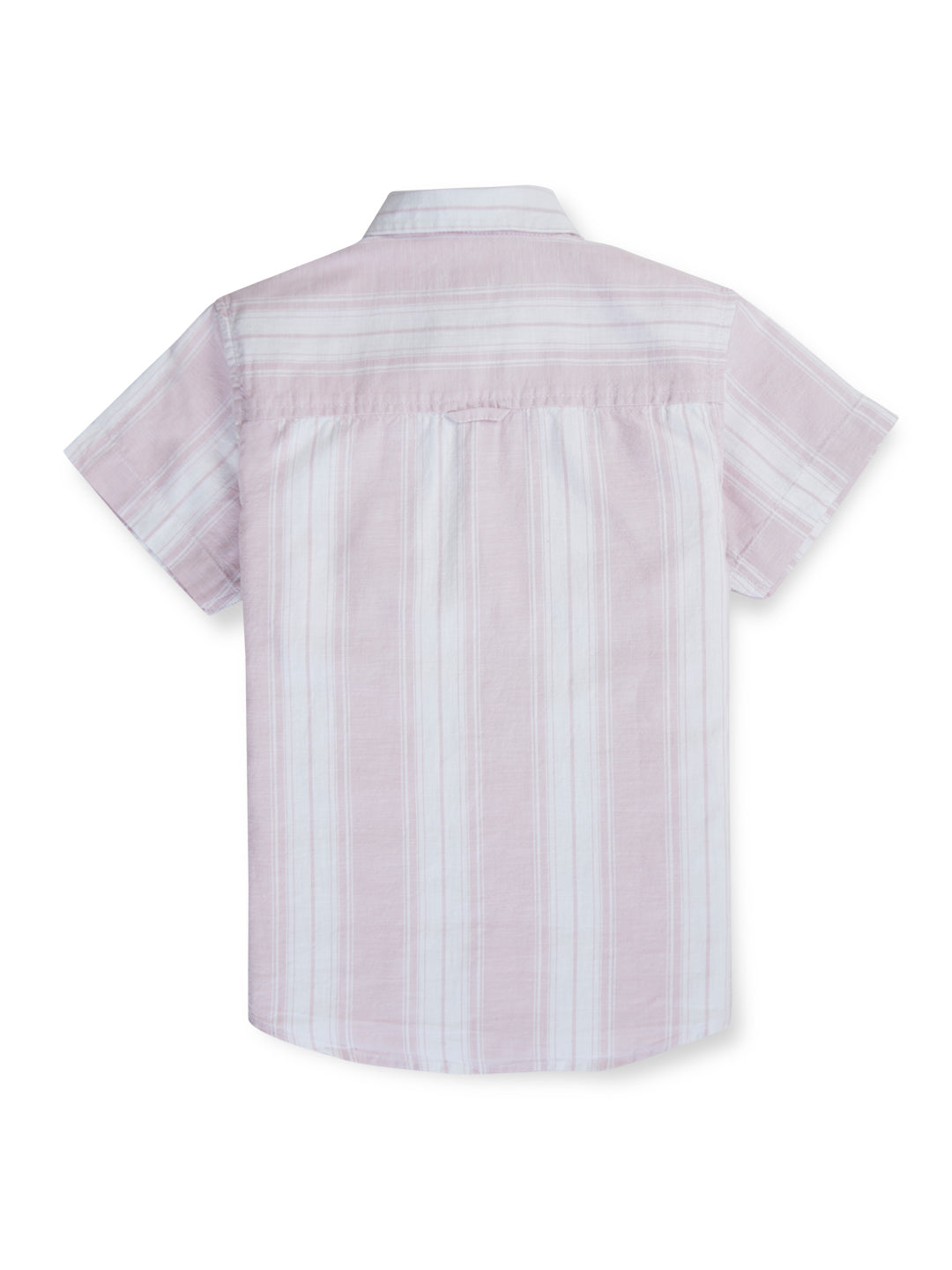 Boys Pink Stripes Cotton Shirt Half Sleeves