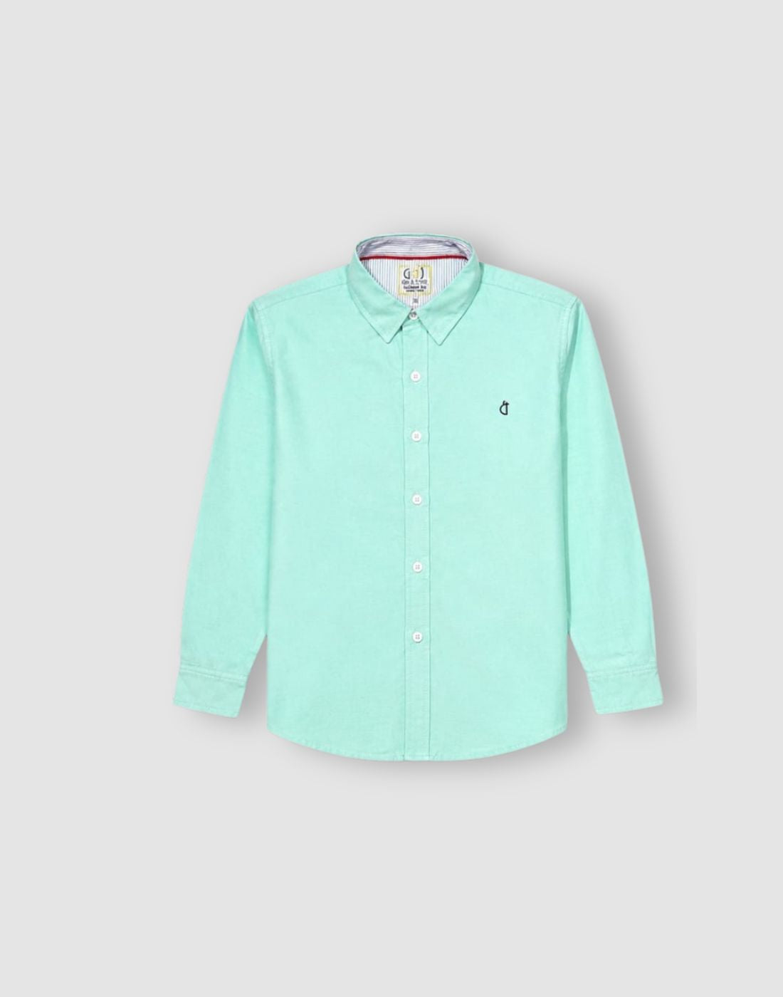 Boys Mint Green Solid Full Sleeve Shirt