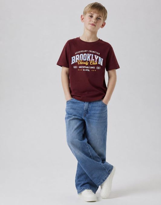 Boys Maroon Holographic T-Shirts
