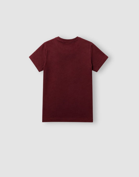Boys Maroon Holographic T-Shirts
