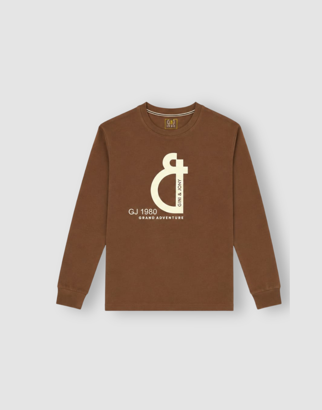 Boys Brown Graphic Print T-Shirts