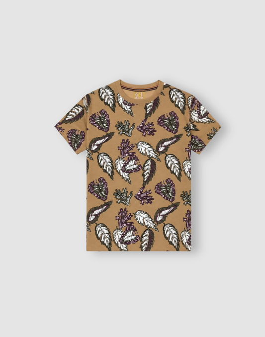 Boys Brown Cotton T-Shirt Half Sleeves