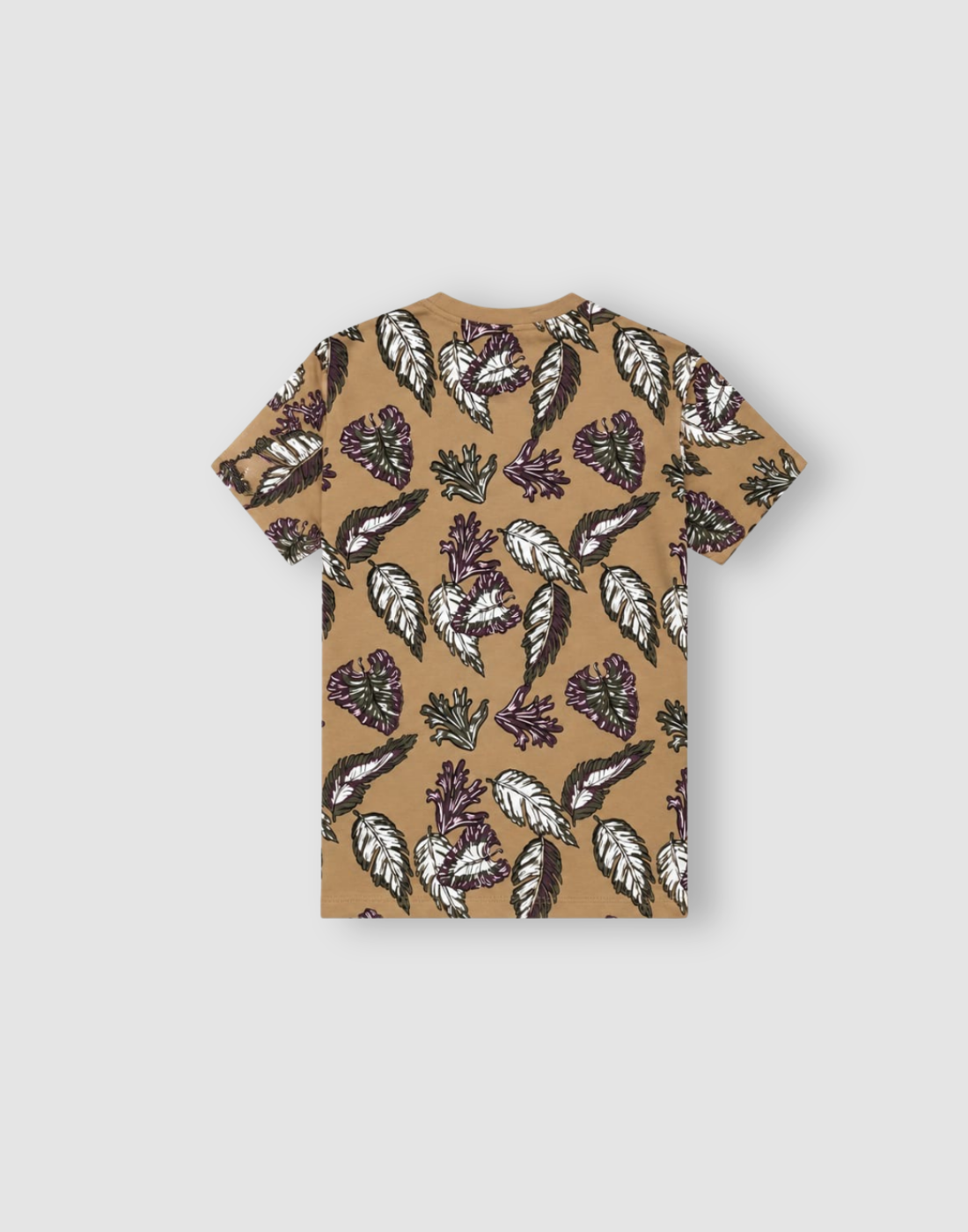 Boys Brown Cotton T-Shirt Half Sleeves