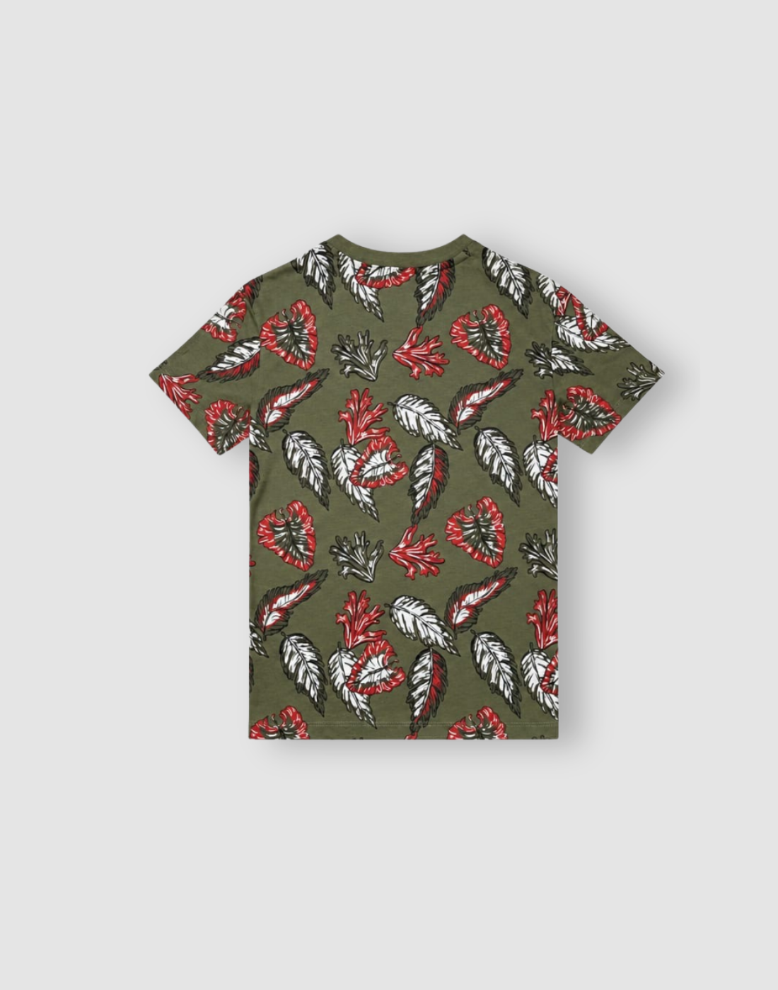 Boys Olive Cotton T-Shirt Half Sleeves