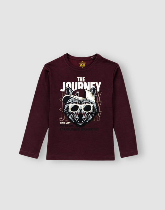 Boys Graphic Print Cotton Full Sleeve T-Shirt