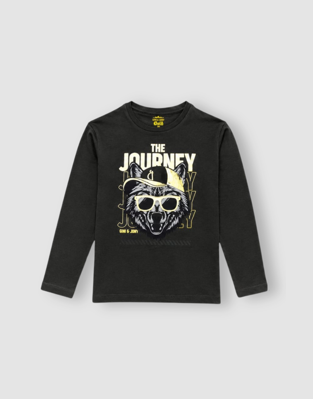 Boys Cotton Graphic Full Sleeve T-Shirt