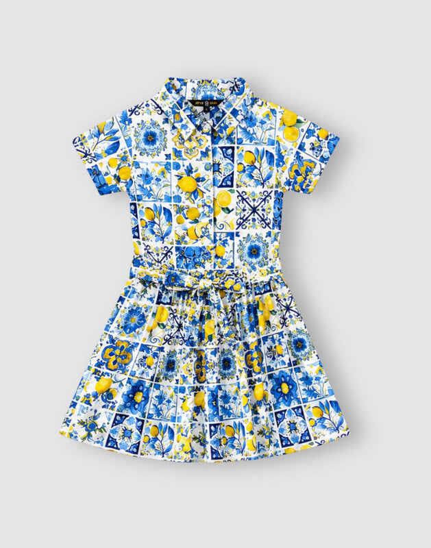 Graphic print Flared Cotton Dress