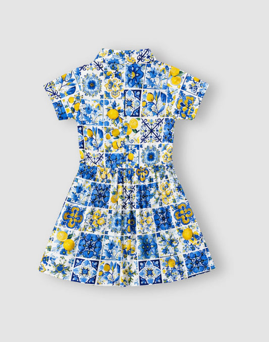 Graphic print Flared Cotton Dress