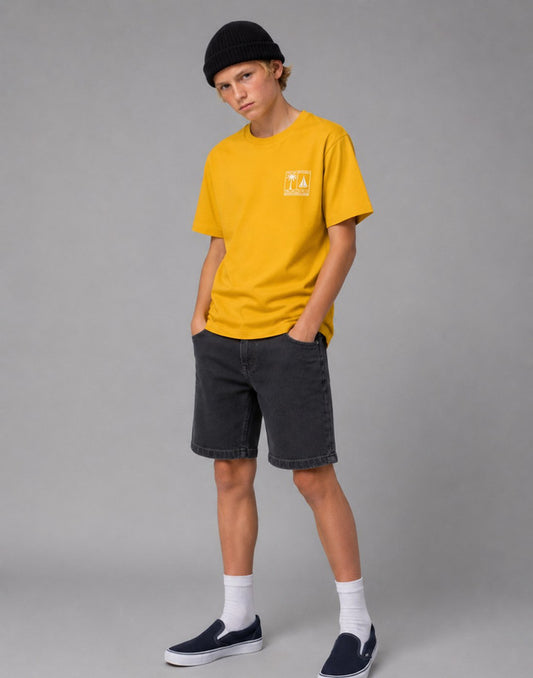Washed Regular Denim Shorts