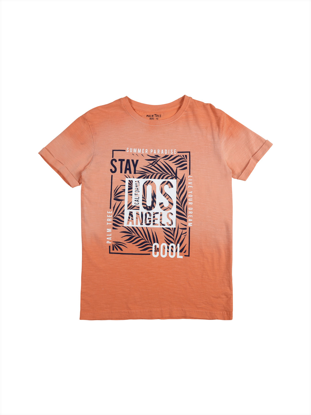 Boys Peach Graphic Print Cotton T-Shirt Half Sleeves