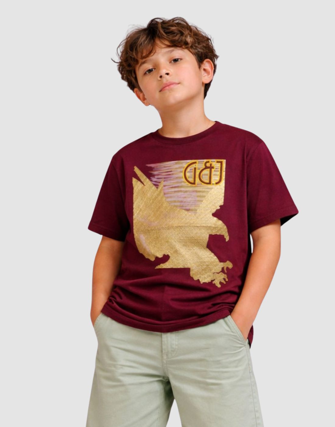 Boys Burgandy Cotton Knit Half Sleeve T-Shirt
