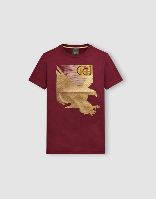Boys Burgandy Cotton Knit Half Sleeve T-Shirt