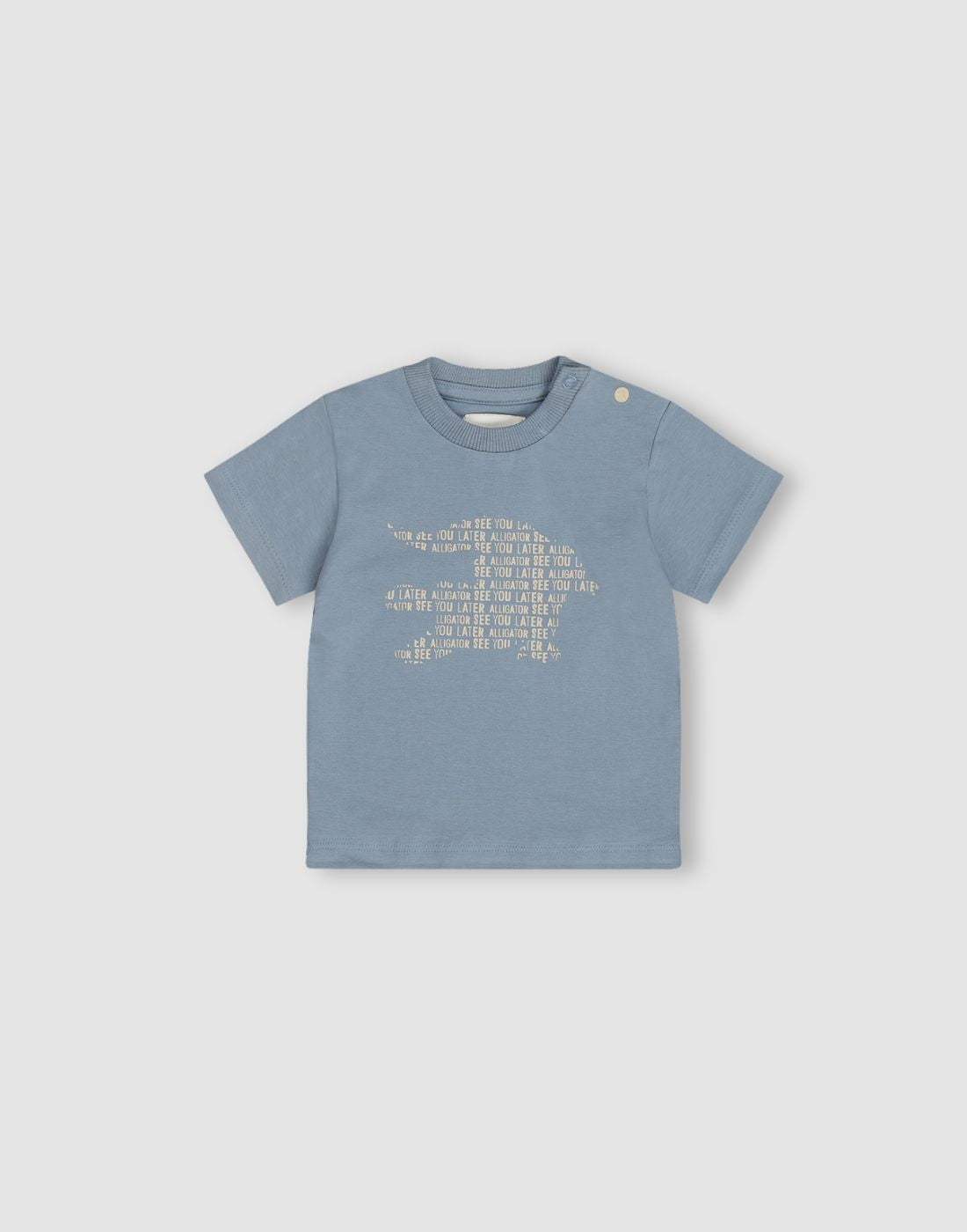 Boys Printed Cotton T-Shirt