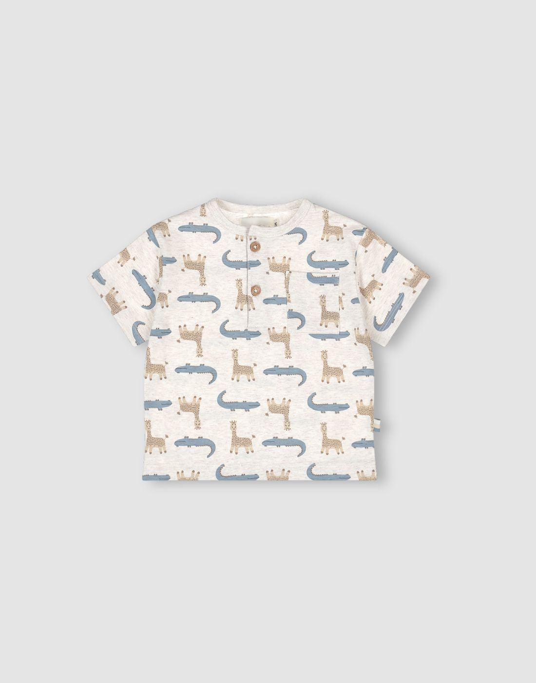 Boys Cotton Loose Fit T-Shirt