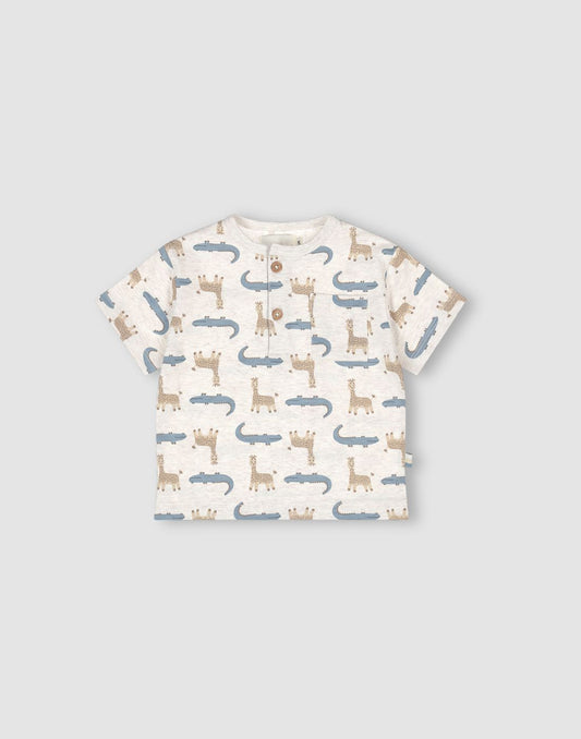 Boys Cotton Loose Fit T-Shirt