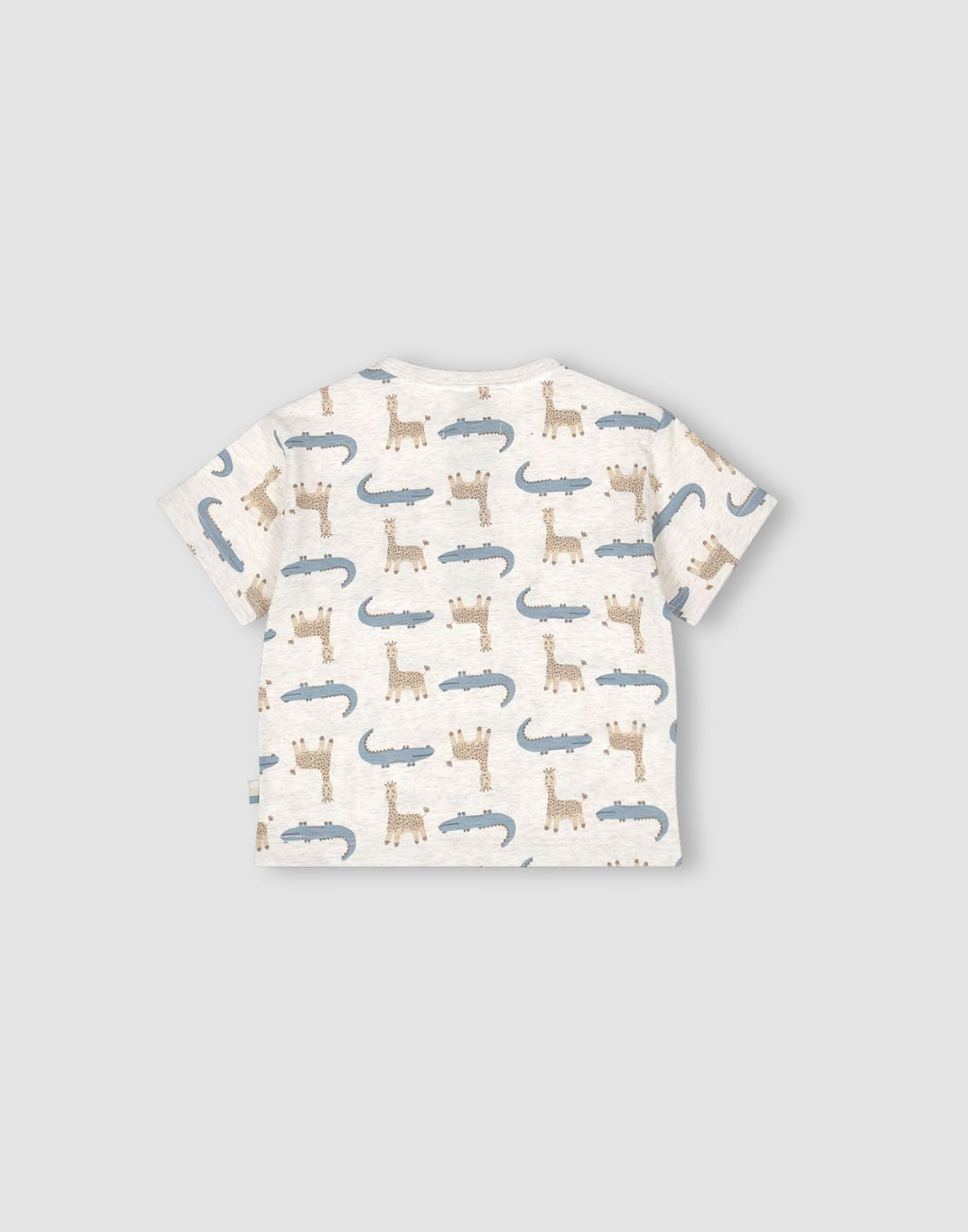 Boys Cotton Loose Fit T-Shirt