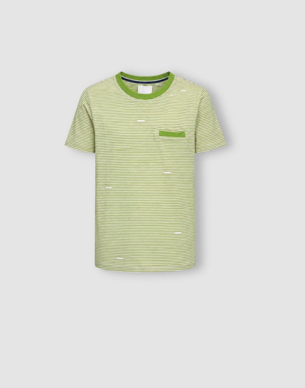 Striped Regular Cotton T-Shirt