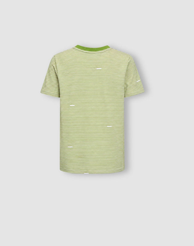Striped Regular Cotton T-Shirt
