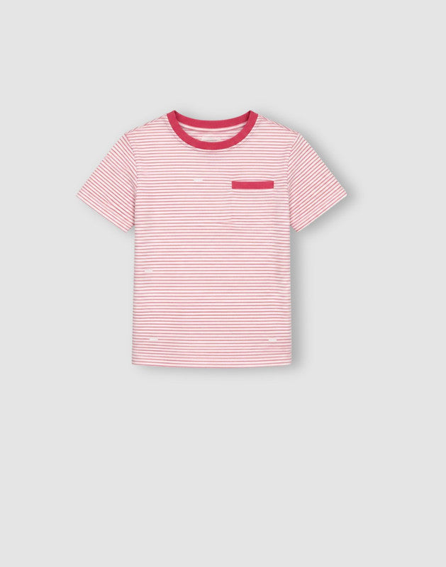 Striped Regular Cotton T-Shirt