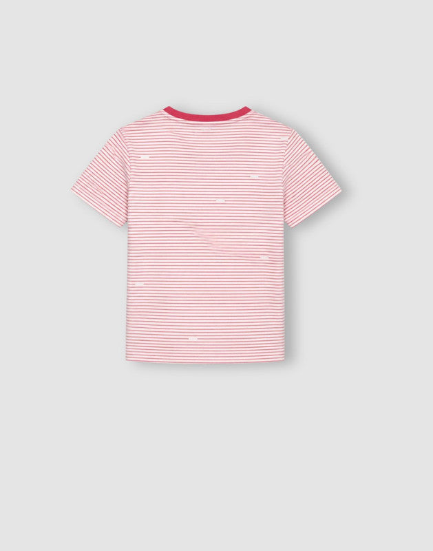 Striped Regular Cotton T-Shirt