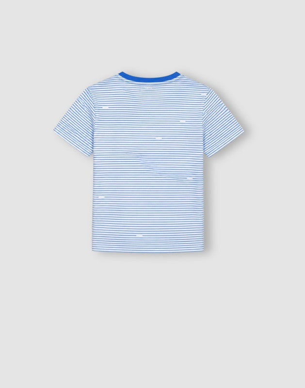 Striped Regular Cotton T-Shirt