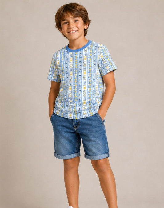 Geometric Stripe Print Regular Cotton T-Shirt
