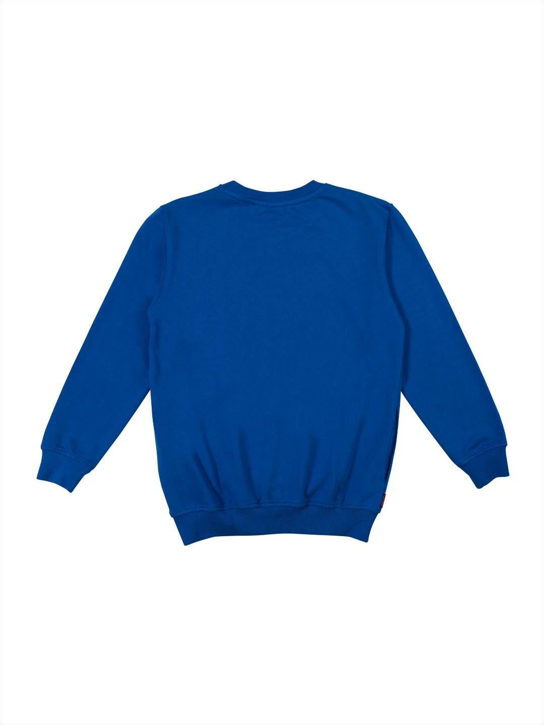 Boys Blue Printed Fleece Sweat Shirt