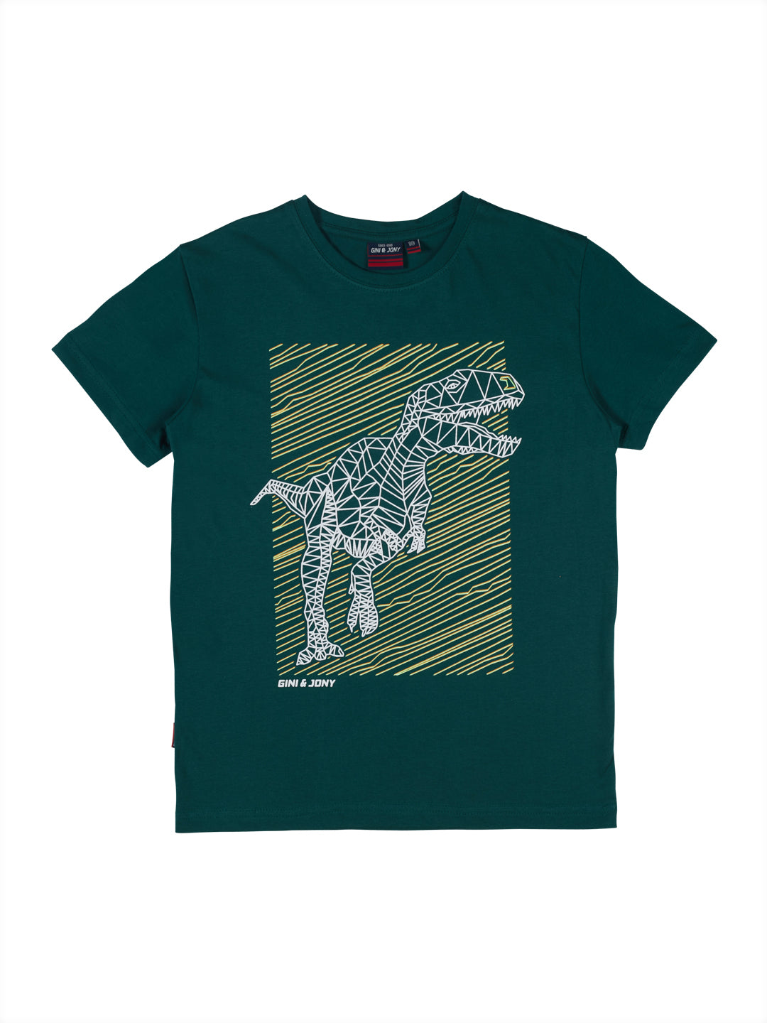 Boys Green Printed Cotton T-Shirt