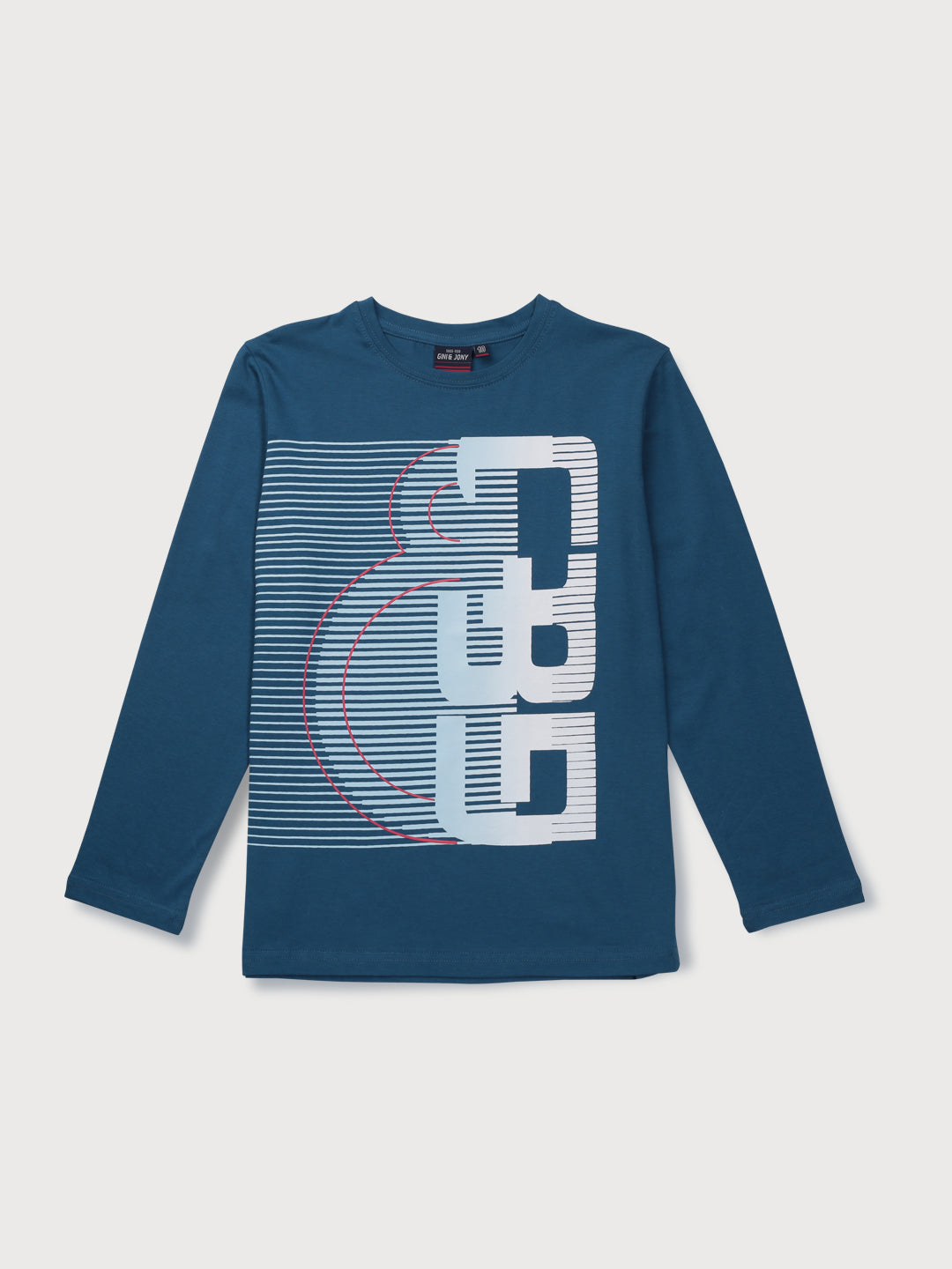 Boys Blue Printed Knits T-Shirt