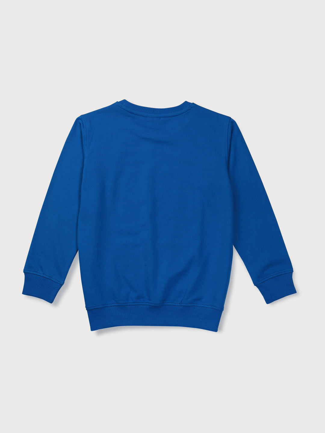 Boys Blue Knits Printed  Full Sleeves Sweat Shirt