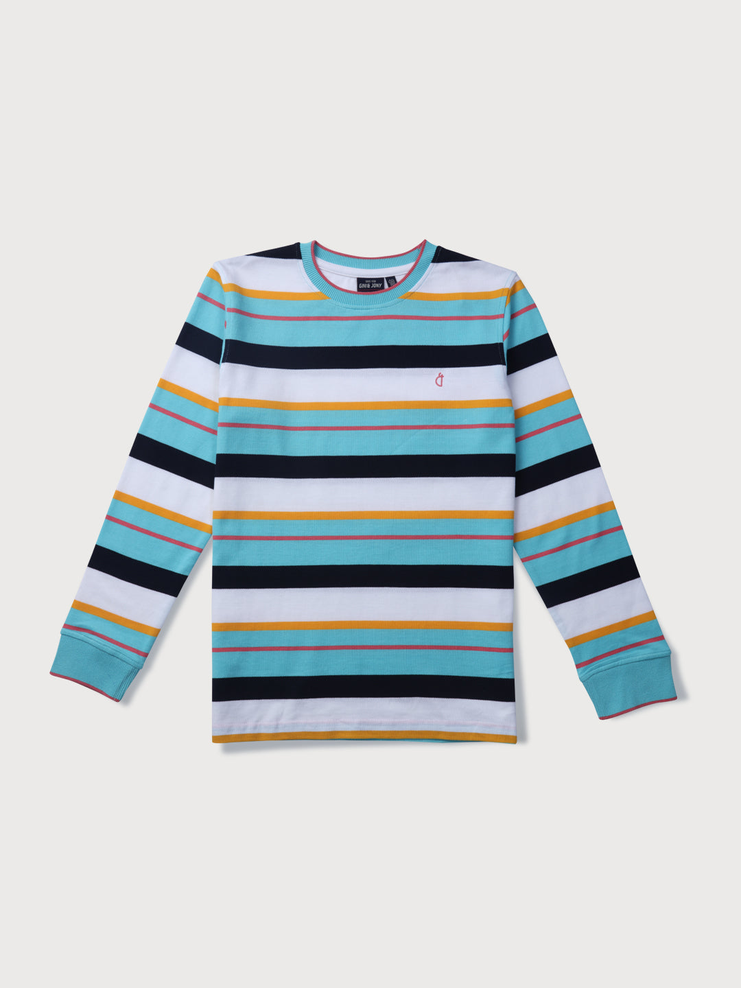 Boys Multicolor Striped Knits T-Shirt