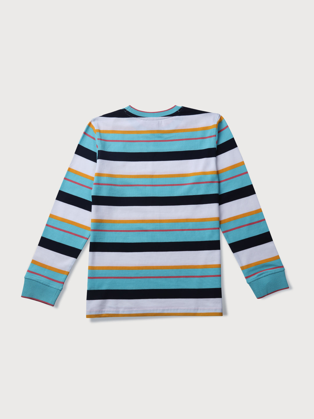 Boys Multicolor Striped Knits T-Shirt