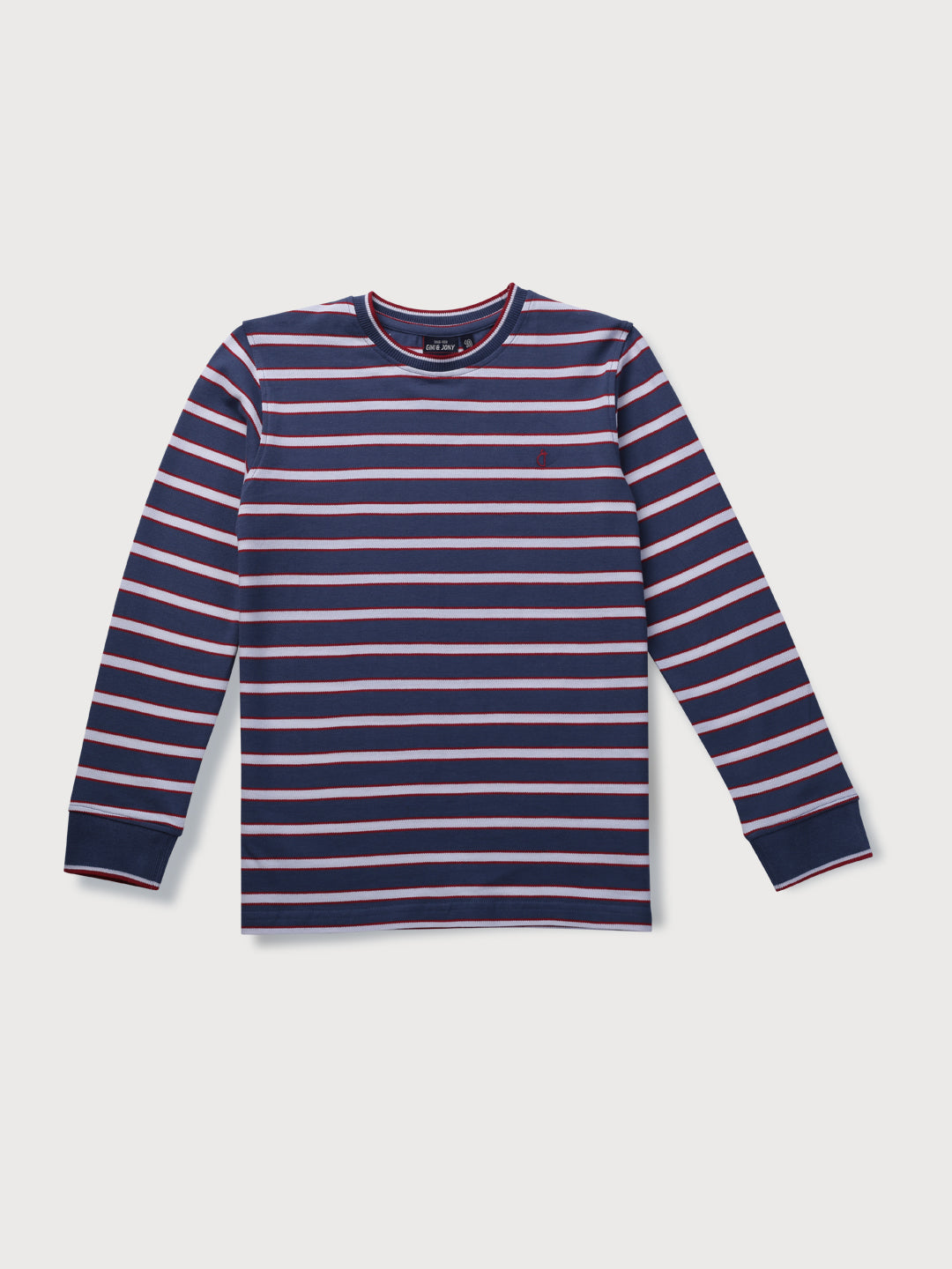 Boys Blue Cotton Striped Full Sleeves T-Shirt
