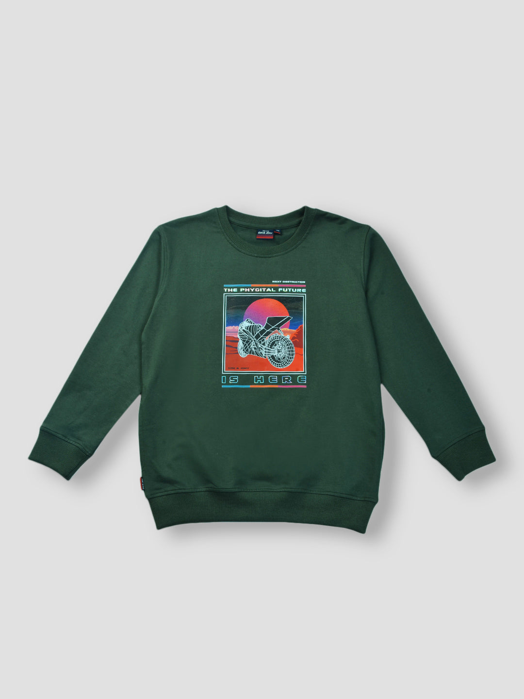 Boys Green Printed Fleece Sweat Shirt