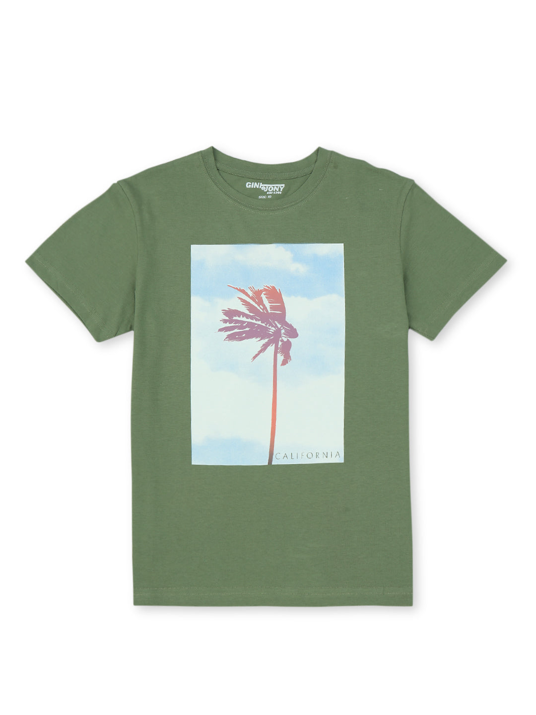Boys Hedge Green Cotton Solid T-Shirt