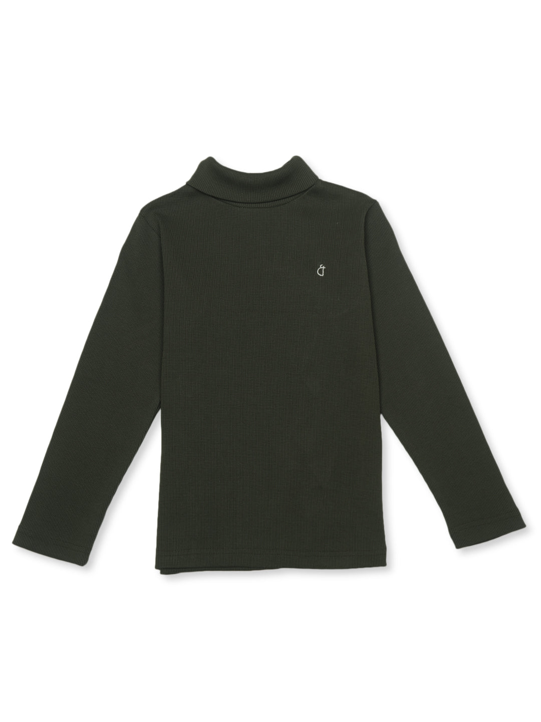 Boys Green Cotton Solid Full Sleeves Skivvy