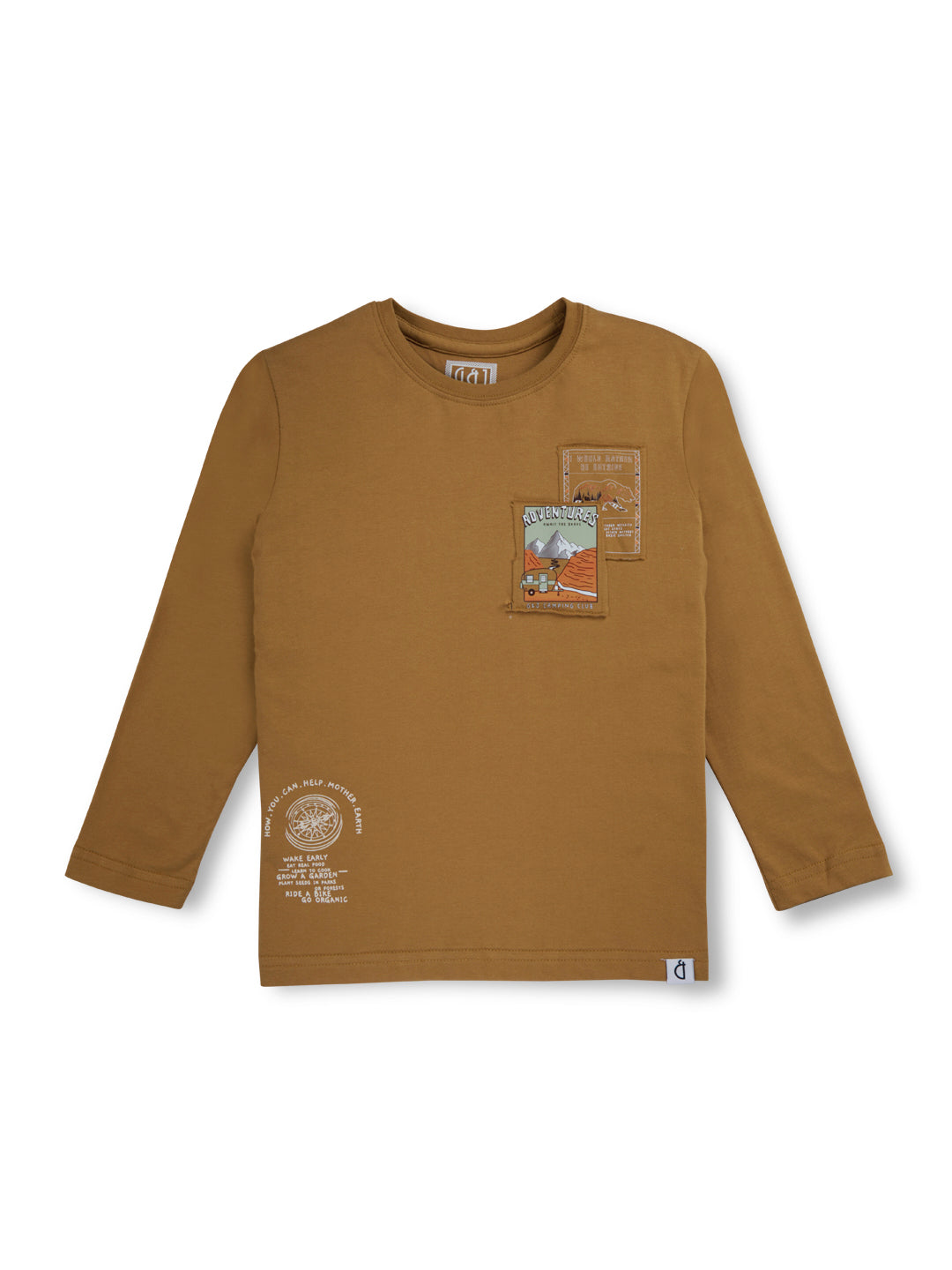 Boys Brown Solid Cotton Full Sleeves T-Shirt