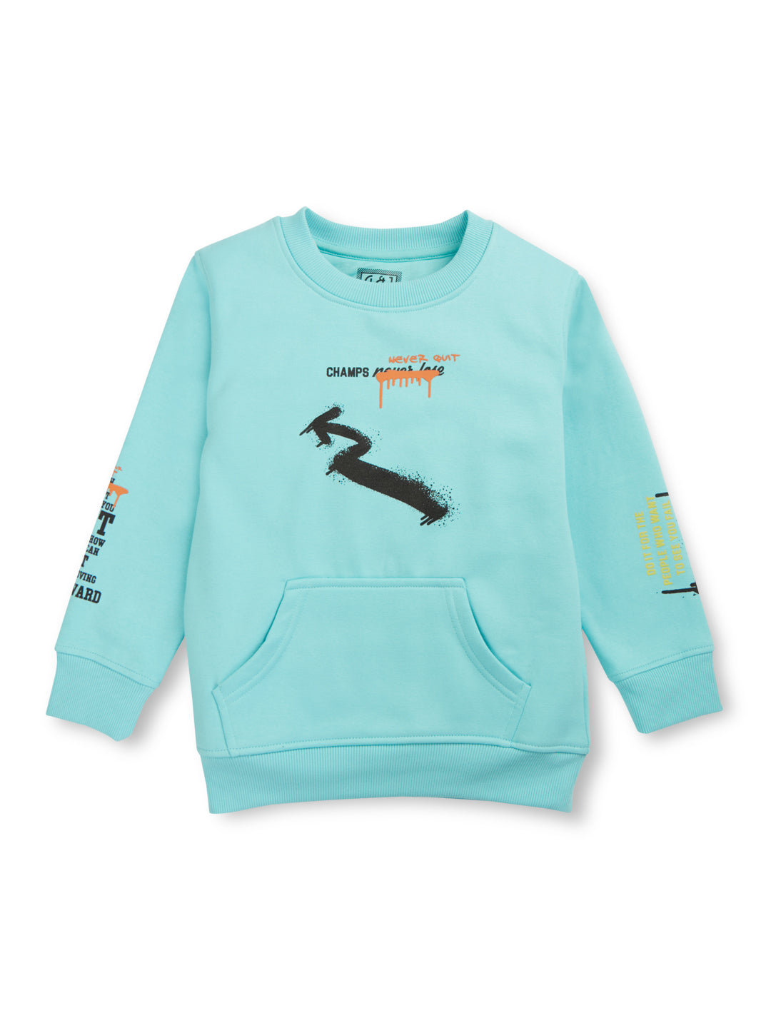 Boys Blue Printed Cotton Sweat Shirt Full Sleeves