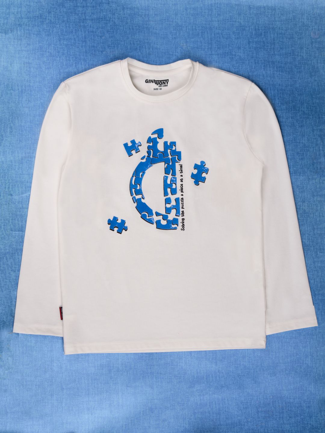 Boys White Round Neck Knitted Cotton Printed T-Shirt
