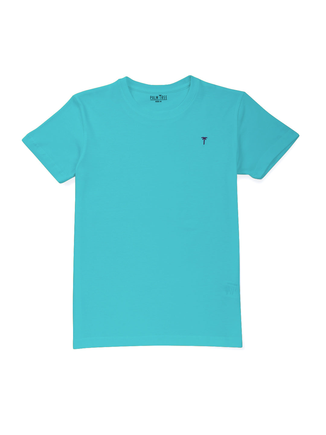 Boys Blue Solid Cotton T-Shirt